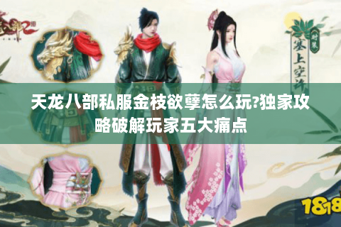 天龙八部私服金枝欲孽怎么玩?独家攻略破解玩家五大痛点 天龙八部私服金枝欲孽怎么玩?独家攻略破解玩家五大痛点