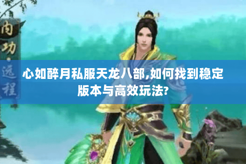 心如醉月私服天龙八部,如何找到稳定版本与高效玩法?