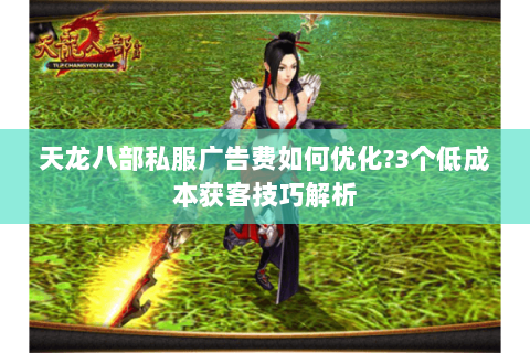 天龙八部私服广告费如何优化?3个低成本获客技巧解析