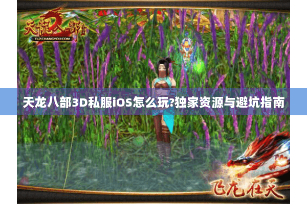 天龙八部3D私服iOS怎么玩?独家资源与避坑指南 天龙八部3D私服iOS怎么玩?独家资源与避坑指南