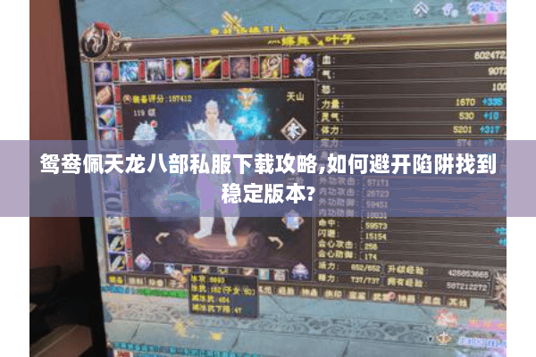 鸳鸯佩天龙八部私服下载攻略,如何避开陷阱找到稳定版本? 鸳鸯佩天龙八部私服下载攻略,如何避开陷阱找到稳定版本?