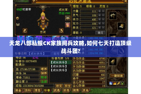 天龙八部私服CK家族阅兵攻略,如何七天打造顶级战斗团?