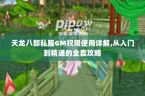 天龙八部私服GM权限使用详解,从入门到精通的全套攻略 天龙八部私服GM权限使用详解,从入门到精通的全套攻略