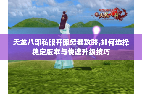 天龙八部私服开服务器攻略,如何选择稳定版本与快速升级技巧