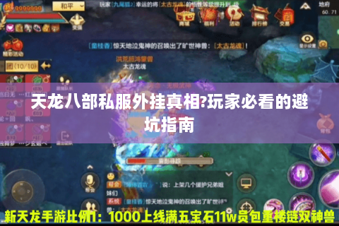 天龙八部私服外挂真相?玩家必看的避坑指南 天龙八部私服外挂真相?玩家必看的避坑指南