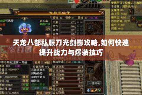 天龙八部私服刀光剑影攻略,如何快速提升战力与爆装技巧 天龙八部私服刀光剑影攻略,如何快速提升战力与爆装技巧