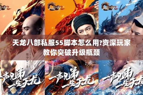 天龙八部私服55脚本怎么用?资深玩家教你突破升级瓶颈