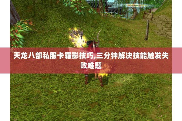 天龙八部私服卡霜影技巧,三分钟解决技能触发失败难题 天龙八部私服卡霜影技巧,三分钟解决技能触发失败难题