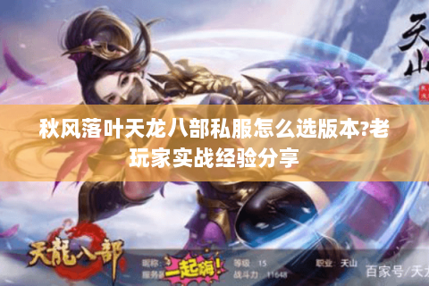 秋风落叶天龙八部私服怎么选版本?老玩家实战经验分享 秋风落叶天龙八部私服怎么选版本?老玩家实战经验分享