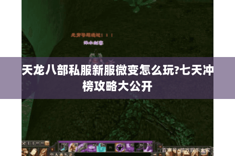 天龙八部私服新服微变怎么玩?七天冲榜攻略大公开 天龙八部私服新服微变怎么玩?七天冲榜攻略大公开