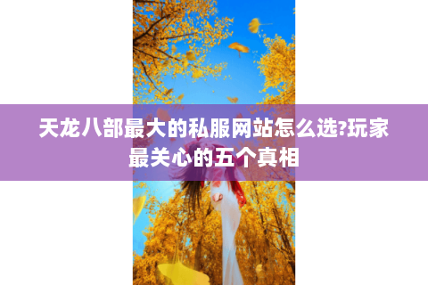 天龙八部最大的私服网站怎么选?玩家最关心的五个真相 天龙八部最大的私服网站怎么选?玩家最关心的五个真相