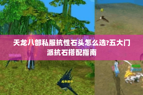 天龙八部私服抗性石头怎么选?五大门派抗石搭配指南 天龙八部私服抗性石头怎么选?五大门派抗石搭配指南