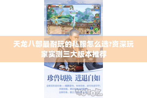 天龙八部最耐玩的私服怎么选?资深玩家实测三大版本推荐