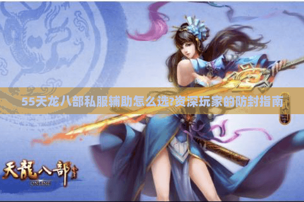 55天龙八部私服辅助怎么选?资深玩家的防封指南