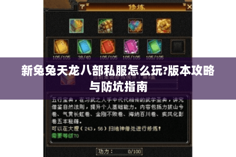 新兔兔天龙八部私服怎么玩?版本攻略与防坑指南