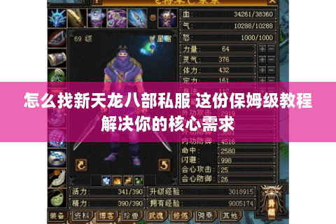 怎么找新天龙八部私服 这份保姆级教程解决你的核心需求 怎么找新天龙八部私服 这份保姆级教程解决你的核心需求