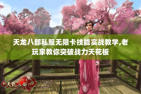 天龙八部私服无限卡技能实战教学,老玩家教你突破战力天花板 天龙八部私服无限卡技能实战教学,老玩家教你突破战力天花板