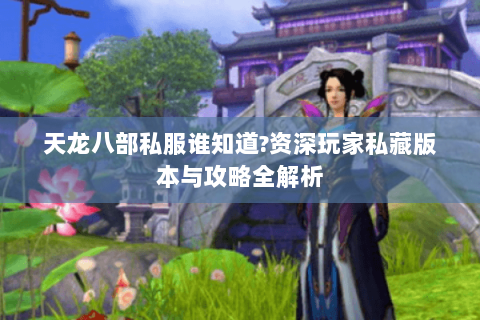 天龙八部私服谁知道?资深玩家私藏版本与攻略全解析