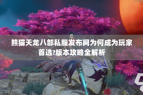 熊猫天龙八部私服发布网为何成为玩家首选?版本攻略全解析