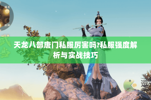 天龙八部唐门私服厉害吗?私服强度解析与实战技巧