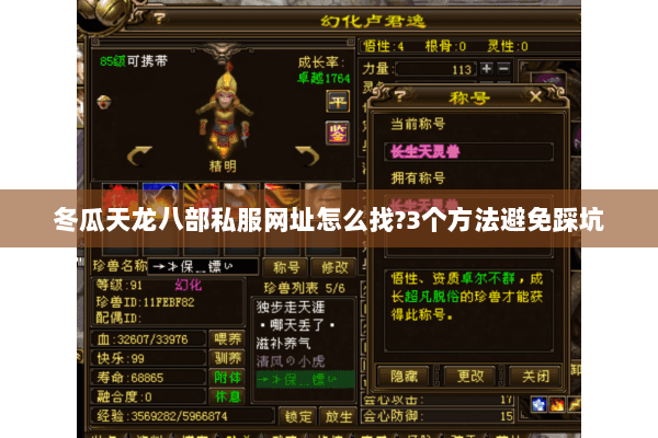 冬瓜天龙八部私服网址怎么找?3个方法避免踩坑 冬瓜天龙八部私服网址怎么找?3个方法避免踩坑