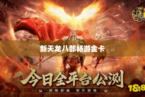 新天龙八部畅游金卡