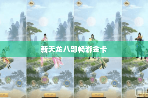 新天龙八部畅游金卡