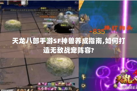 天龙八部手游SF神兽养成指南,如何打造无敌战宠阵容?