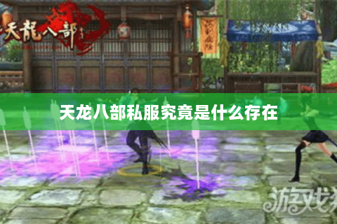 天龙八部私服究竟是什么存在 天龙八部私服究竟是什么存在