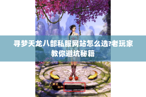 寻梦天龙八部私服网站怎么选?老玩家教你避坑秘籍 寻梦天龙八部私服网站怎么选?老玩家教你避坑秘籍