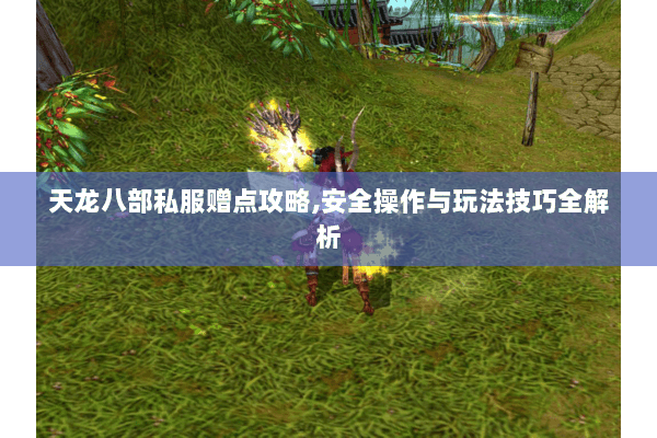 天龙八部私服赠点攻略,安全操作与玩法技巧全解析