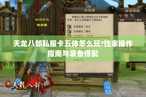 天龙八部私服卡五体怎么玩?独家操作指南与装备搭配 天龙八部私服卡五体怎么玩?独家操作指南与装备搭配