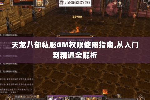 天龙八部私服GM权限使用指南,从入门到精通全解析 天龙八部私服GM权限使用指南,从入门到精通全解析
