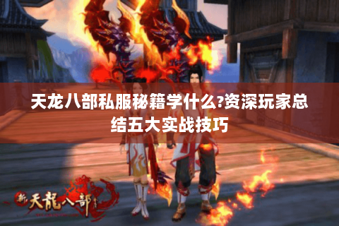 天龙八部私服秘籍学什么?资深玩家总结五大实战技巧 天龙八部私服秘籍学什么?资深玩家总结五大实战技巧