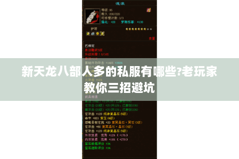新天龙八部人多的私服有哪些?老玩家教你三招避坑 新天龙八部人多的私服有哪些?老玩家教你三招避坑
