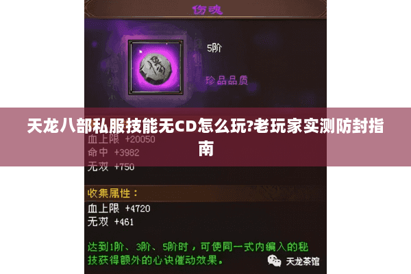 天龙八部私服技能无CD怎么玩?老玩家实测防封指南