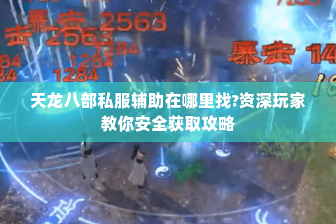天龙八部私服辅助在哪里找?资深玩家教你安全获取攻略 天龙八部私服辅助在哪里找?资深玩家教你安全获取攻略