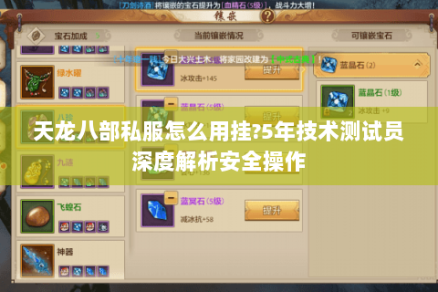 天龙八部私服怎么用挂?5年技术测试员深度解析安全操作