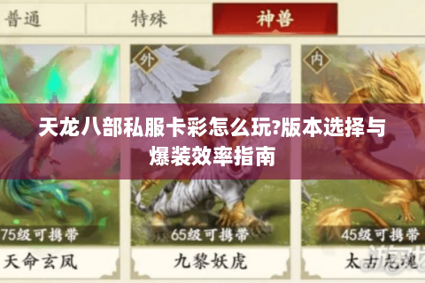 天龙八部私服卡彩怎么玩?版本选择与爆装效率指南