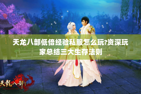 天龙八部低倍经验私服怎么玩?资深玩家总结三大生存法则 天龙八部低倍经验私服怎么玩?资深玩家总结三大生存法则