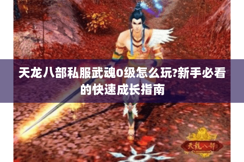 天龙八部私服武魂0级怎么玩?新手必看的快速成长指南 天龙八部私服武魂0级怎么玩?新手必看的快速成长指南