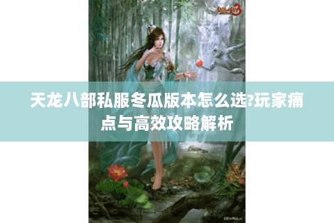 天龙八部私服冬瓜版本怎么选?玩家痛点与高效攻略解析 天龙八部私服冬瓜版本怎么选?玩家痛点与高效攻略解析
