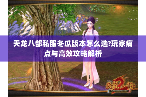 天龙八部私服冬瓜版本怎么选?玩家痛点与高效攻略解析 天龙八部私服冬瓜版本怎么选?玩家痛点与高效攻略解析