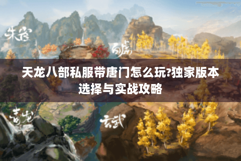 天龙八部私服带唐门怎么玩?独家版本选择与实战攻略 天龙八部私服带唐门怎么玩?独家版本选择与实战攻略