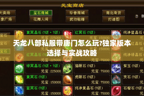 天龙八部私服带唐门怎么玩?独家版本选择与实战攻略 天龙八部私服带唐门怎么玩?独家版本选择与实战攻略