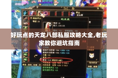 好玩点的天龙八部私服攻略大全,老玩家教你避坑指南