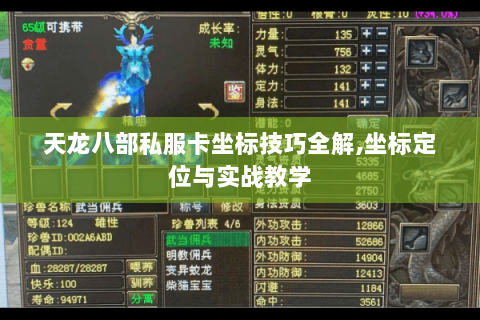 天龙八部私服卡坐标技巧全解,坐标定位与实战教学