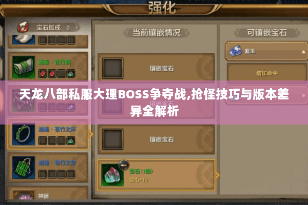 天龙八部私服大理BOSS争夺战,抢怪技巧与版本差异全解析 天龙八部私服大理BOSS争夺战,抢怪技巧与版本差异全解析