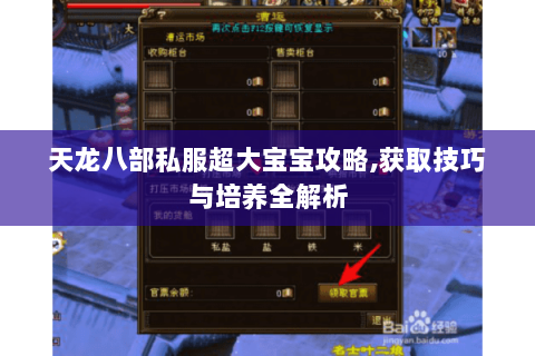 天龙八部私服超大宝宝攻略,获取技巧与培养全解析