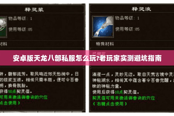 安卓版天龙八部私服怎么玩?老玩家实测避坑指南 安卓版天龙八部私服怎么玩?老玩家实测避坑指南